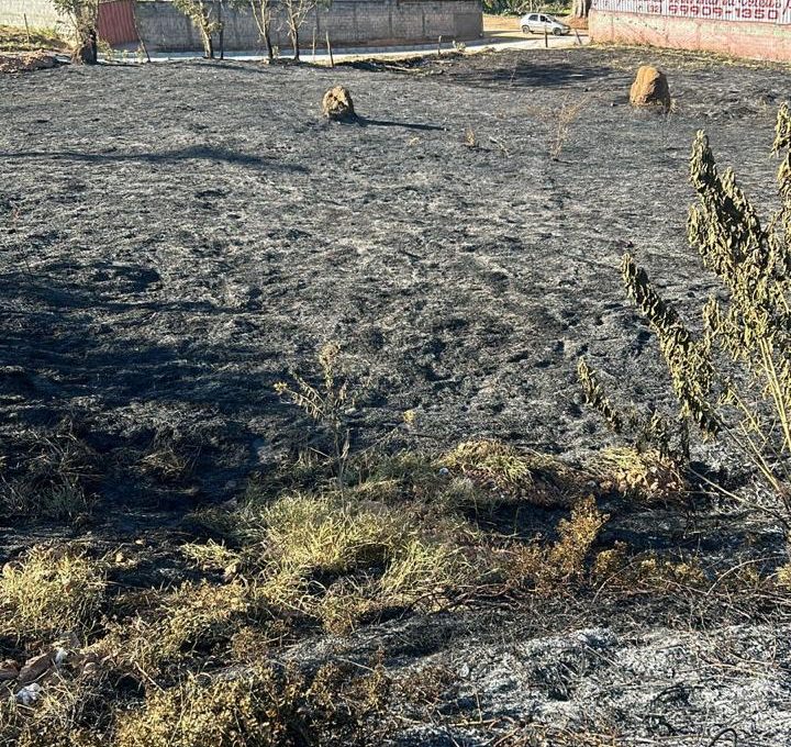 WhatsApp Image 2025-06-10 at 17.05.14 (1)