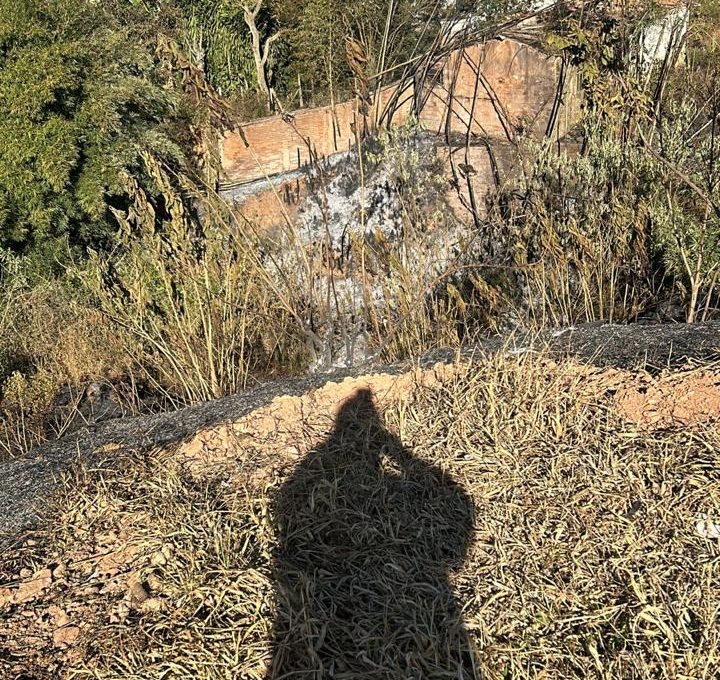 WhatsApp Image 2025-06-10 at 17.05.15