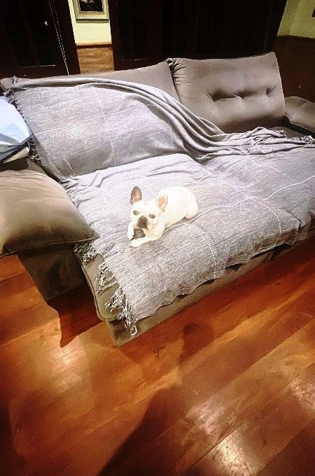 8c376786-b6e7-4c00-a789-f9cebe02baf0