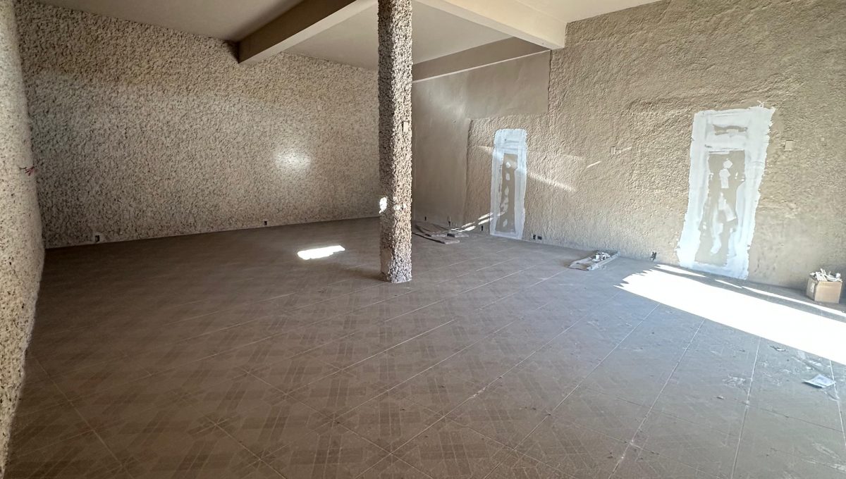 WhatsApp Image 2025-06-30 at 16.19.36 (1)