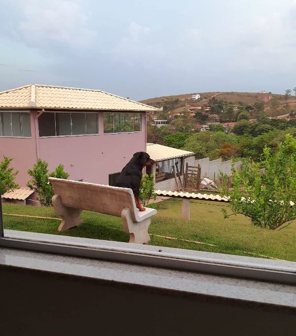 WhatsApp Image 2025-07-09 at 12.01.49 (1)