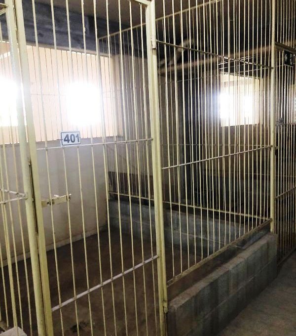 WhatsApp Image 2025-09-26 at 16.40.01 (1)