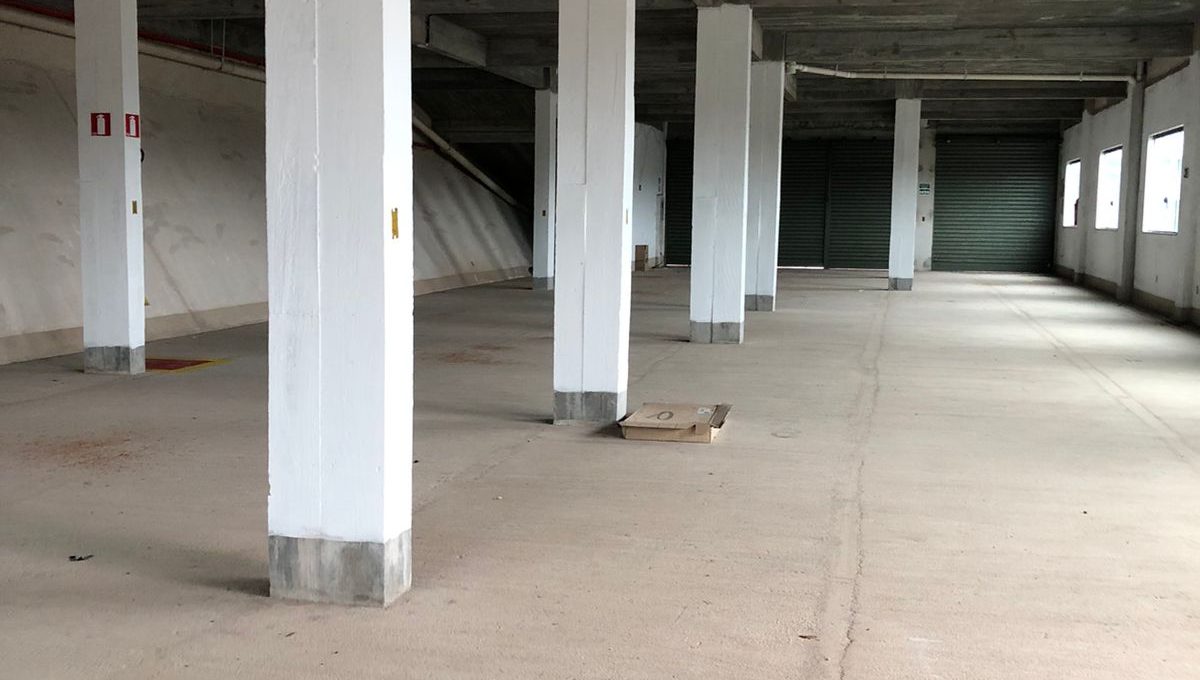 f8438613-b706-450a-be75-348da1d251f3