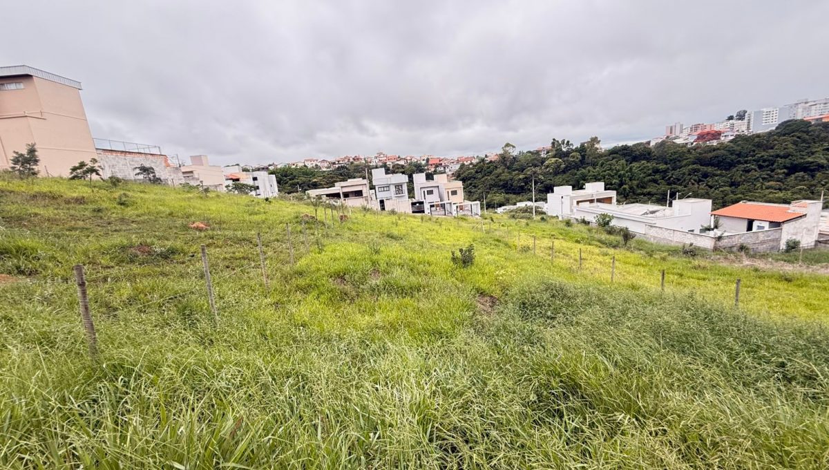 WhatsApp Image 2026-01-06 at 17.10.12 (1)