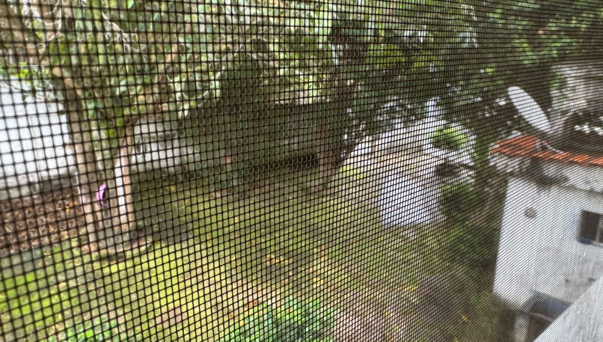 WhatsApp Image 2026-01-07 at 10.34.56 (3)