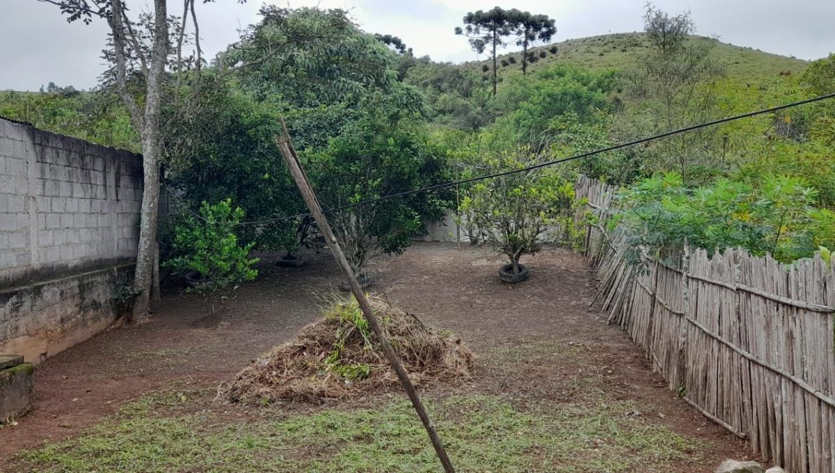 WhatsApp Image 2026-02-03 at 11.08.39