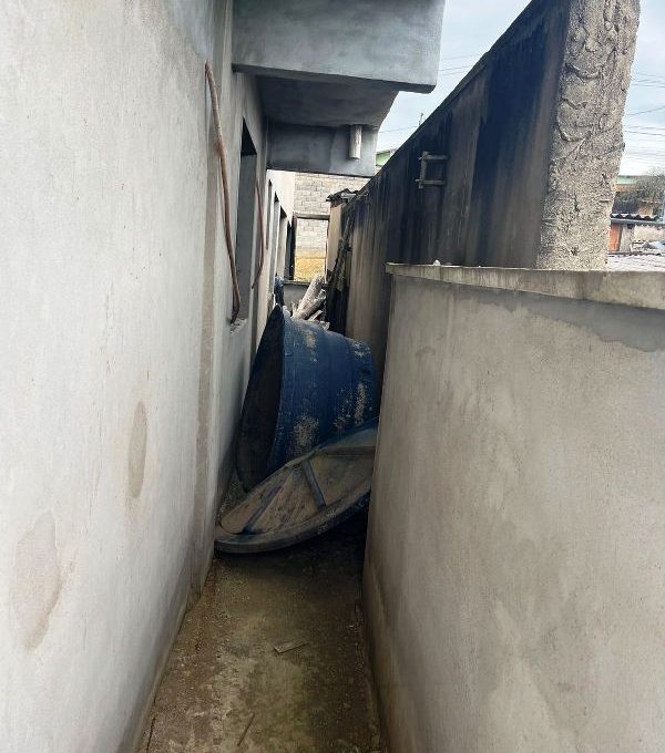 WhatsApp Image 2026-02-03 at 11.06.34