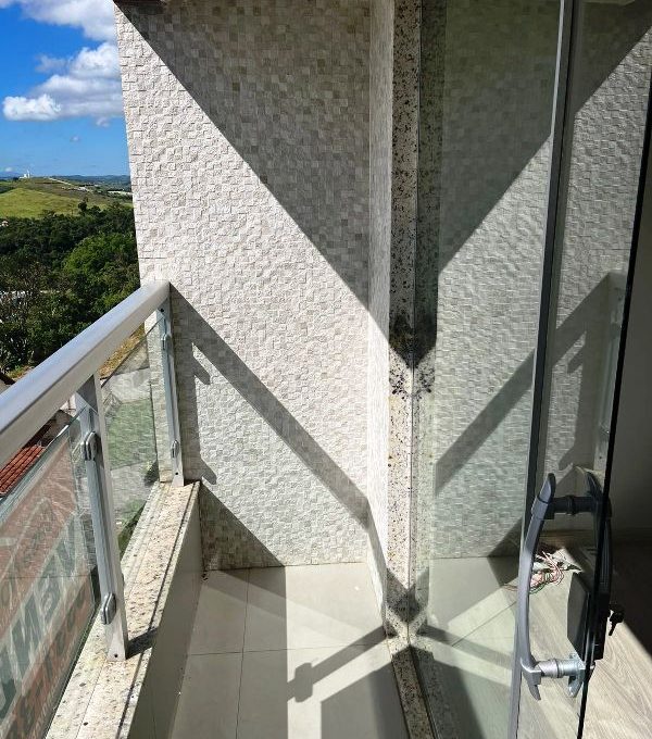 WhatsApp Image 2026-02-13 at 16.29.34