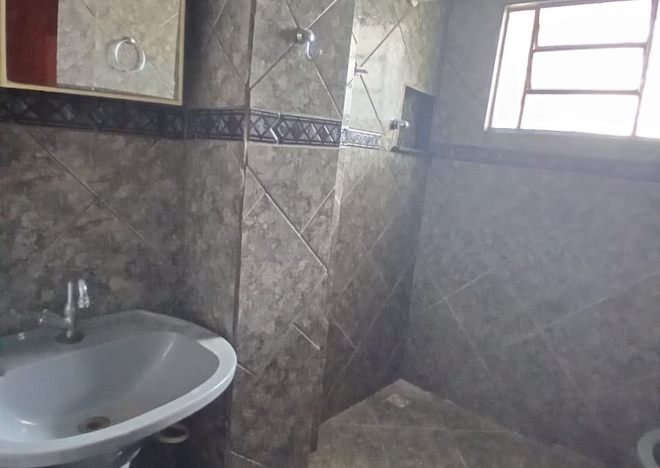 WhatsApp Image 2026-02-25 at 09.50.26