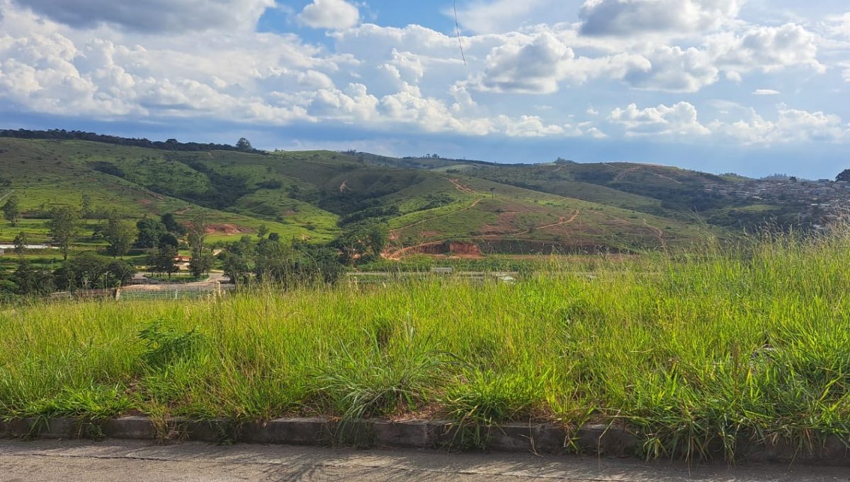 524f1517-1dd7-4818-a562-ac6c9d83505f