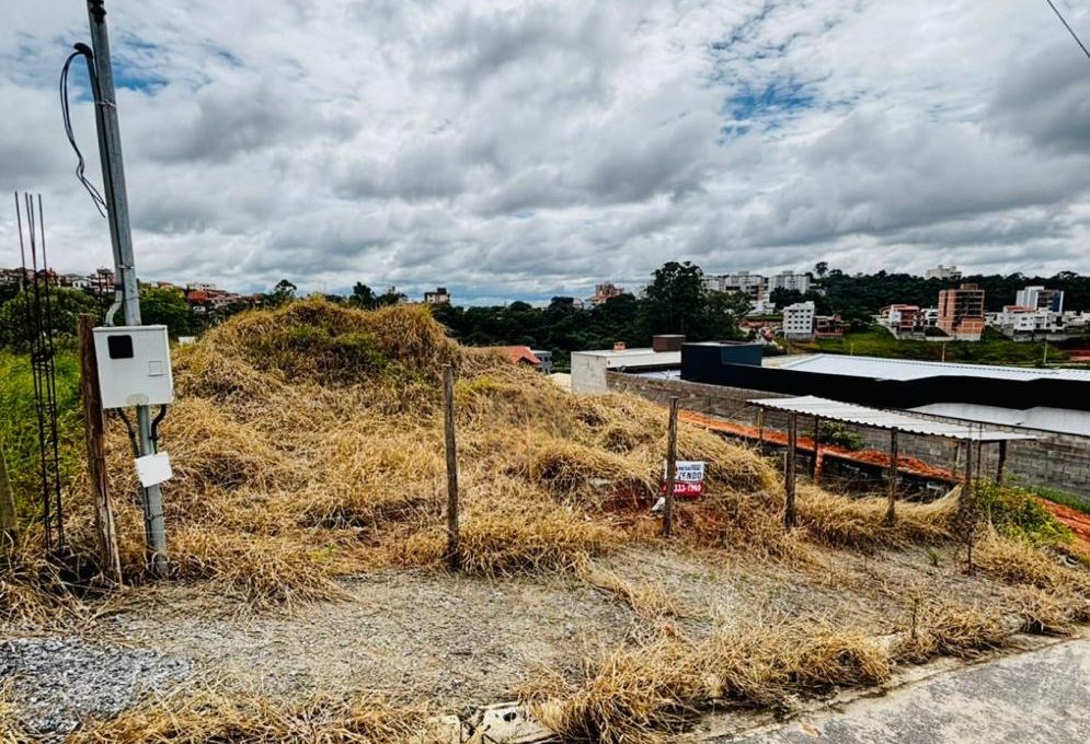 6bc504b0-a912-43b9-b3b4-f35bfc2042cf