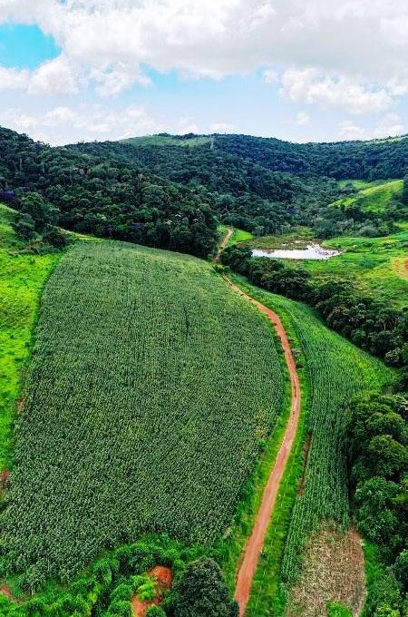 WhatsApp Image 2026-03-15 at 14.36.30 (3)