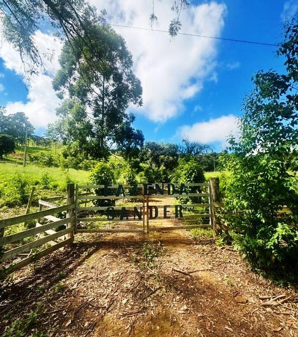 WhatsApp Image 2026-03-15 at 14.40.03 (1)