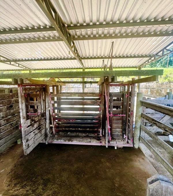 WhatsApp Image 2026-03-15 at 14.40.03 (2)