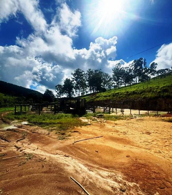 WhatsApp Image 2026-03-15 at 14.40.03 (3)