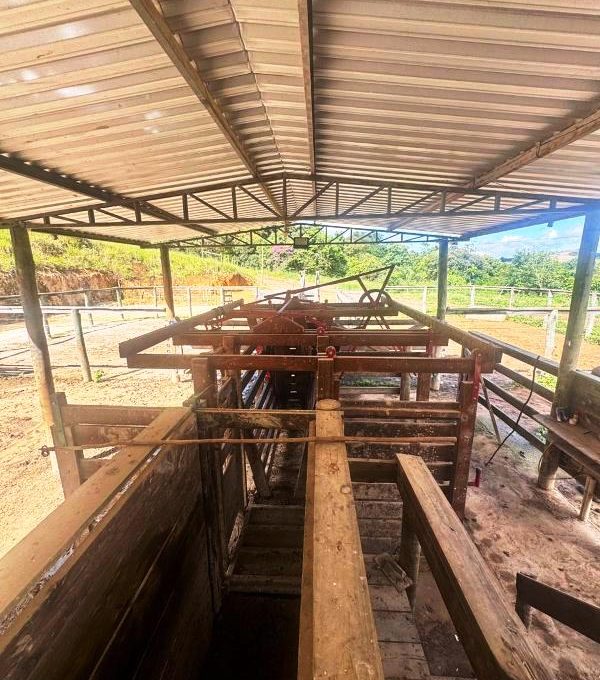 WhatsApp Image 2026-03-15 at 14.40.03