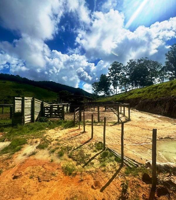 WhatsApp Image 2026-03-15 at 14.40.04 (1)