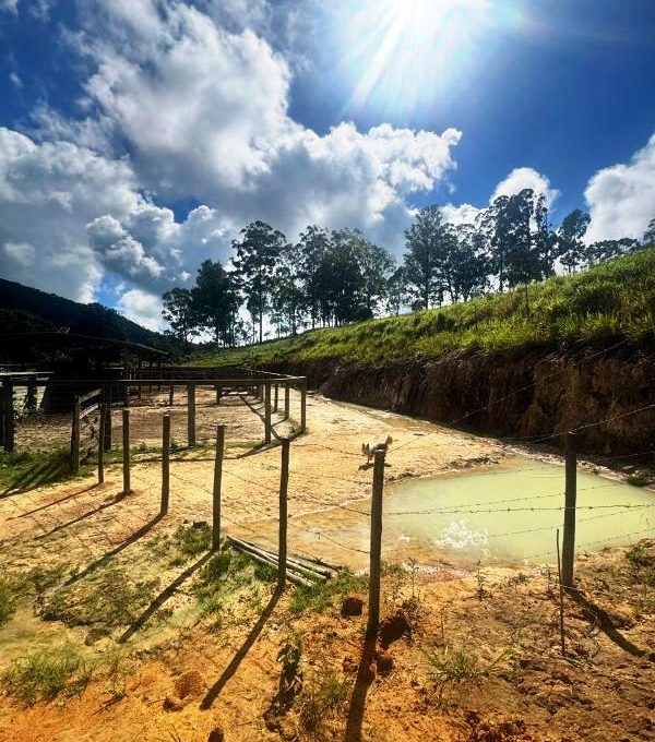 WhatsApp Image 2026-03-15 at 14.40.04 (2)