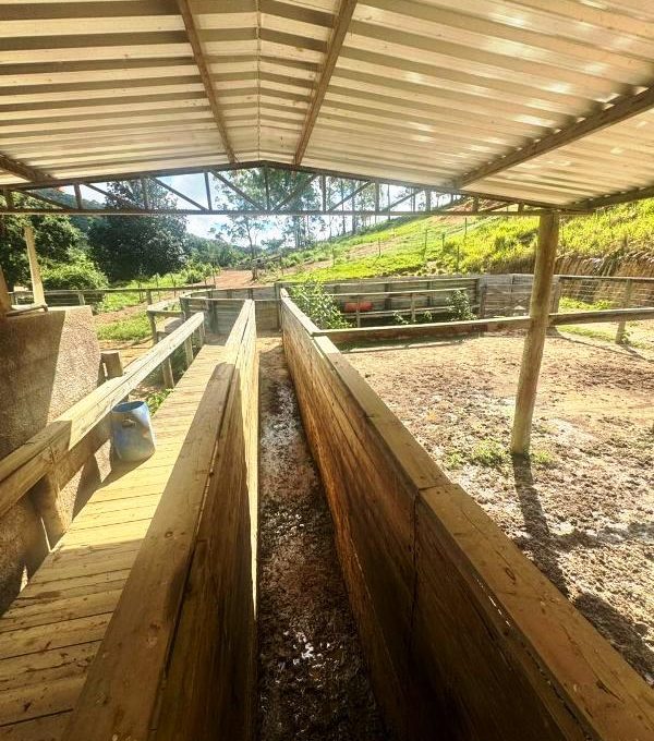 WhatsApp Image 2026-03-15 at 14.40.05 (1)