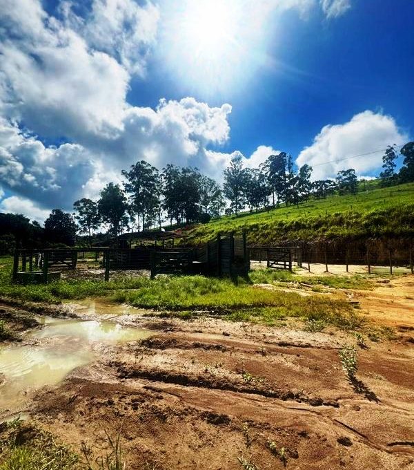 WhatsApp Image 2026-03-15 at 14.40.05 (2)