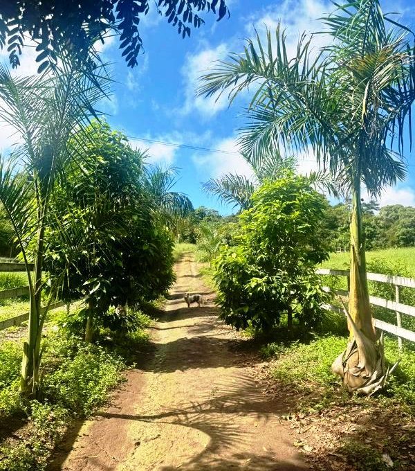 WhatsApp Image 2026-03-15 at 14.40.05