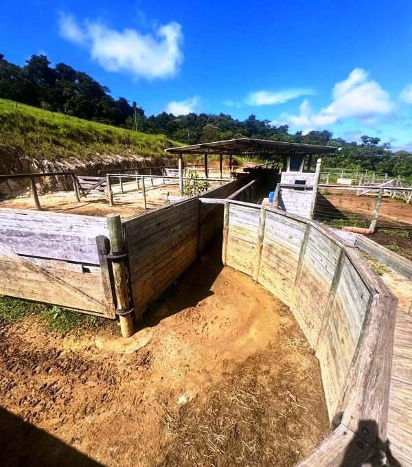 WhatsApp Image 2026-03-15 at 14.40.06 (1)