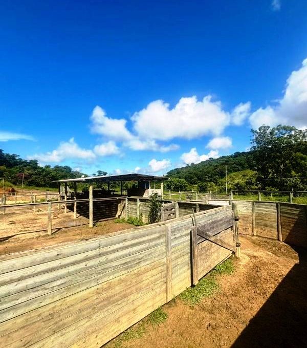 WhatsApp Image 2026-03-15 at 14.40.06 (2)