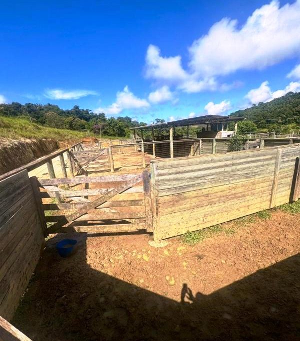 WhatsApp Image 2026-03-15 at 14.40.06 (3)