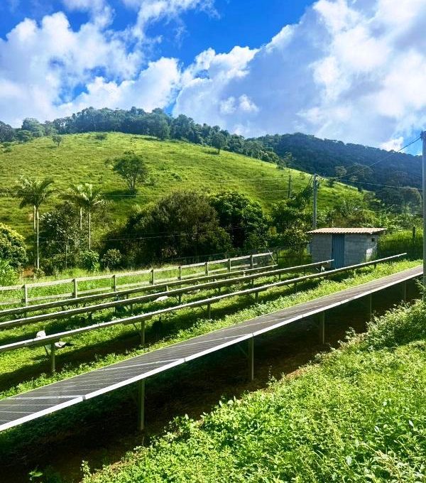 WhatsApp Image 2026-03-15 at 14.40.06