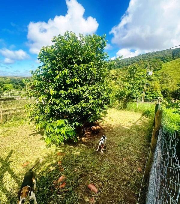 WhatsApp Image 2026-03-15 at 14.40.15 (1)