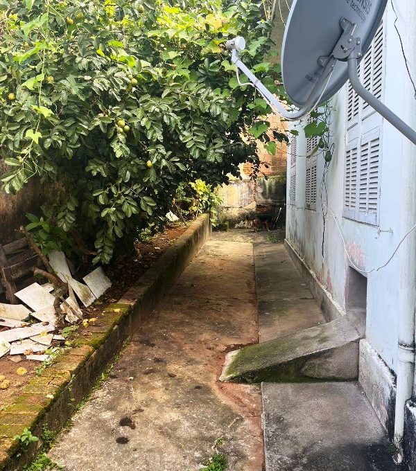 WhatsApp Image 2026-04-07 at 10.45.41